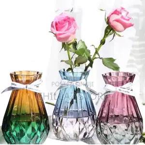 Transparent Glass Flower Vase Living Dining Room Decoration,