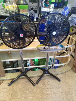 Crown Stand Fans