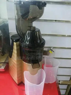 Raf 400ml Slow Juicer/Juice Extractors \\ 150w \\ R.2838