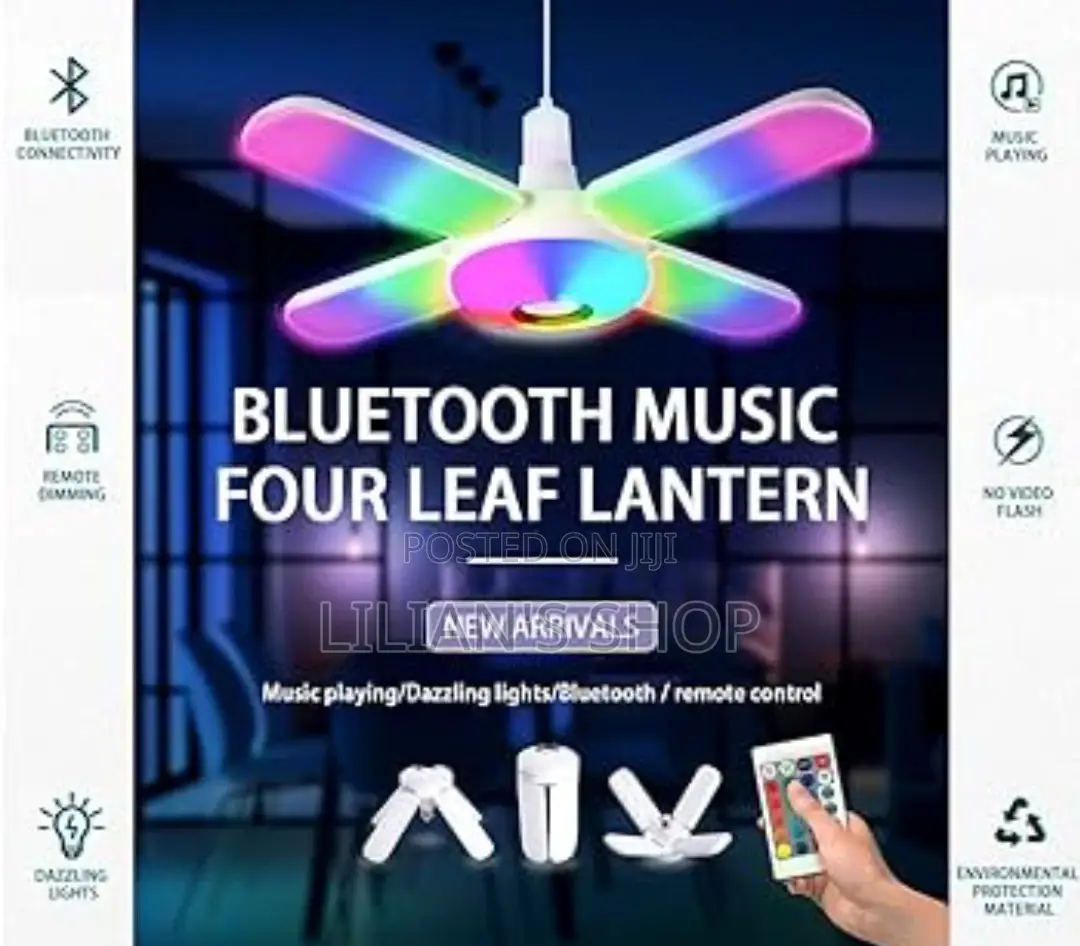 Bluetooth Music Light