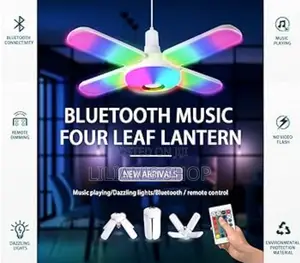 Bluetooth Music Light