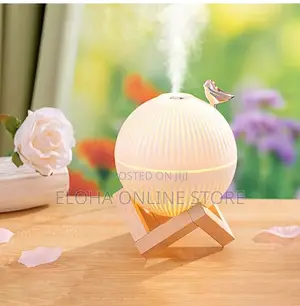 Silent Humidifier With LED Night Lamp