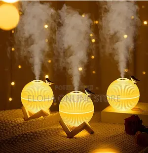 Silent Humidifier With LED Night Lamp