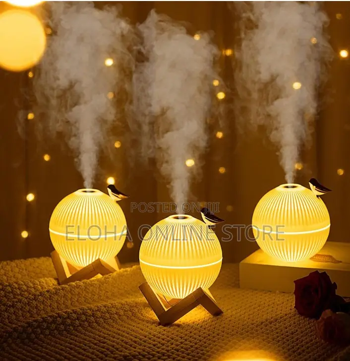 Silent Humidifier With LED Night Lamp