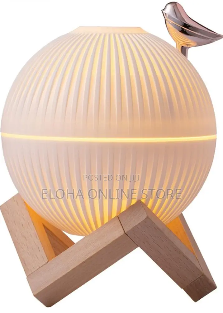 Silent Humidifier With LED Night Lamp