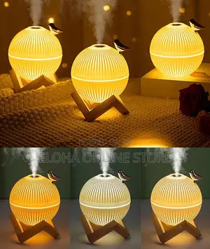 Silent Humidifier With LED Night Lamp