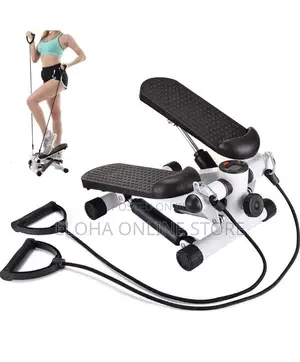 Dual Exercise Stepper