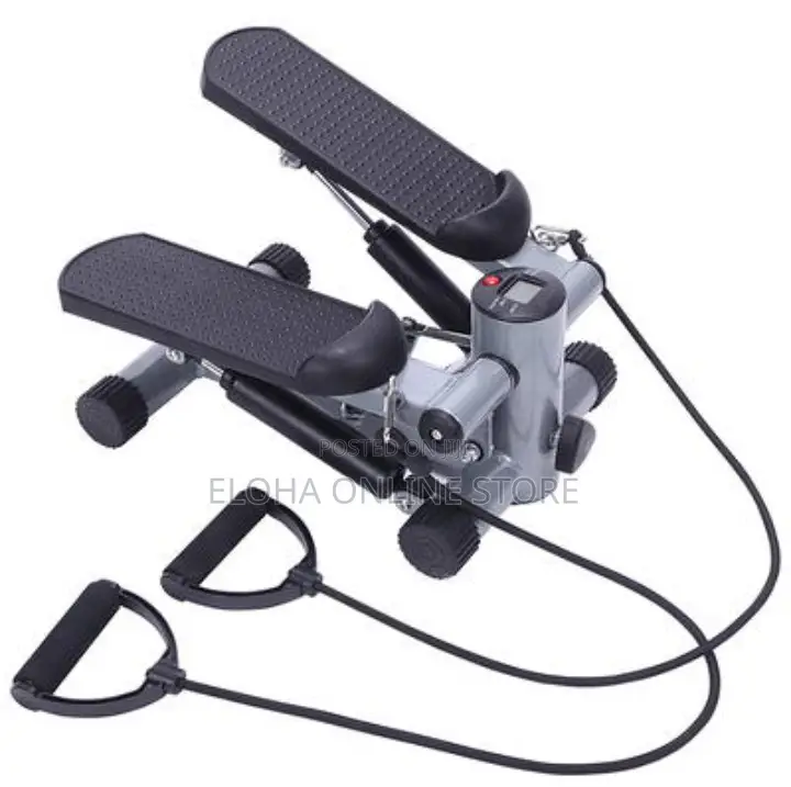 Dual Exercise Stepper