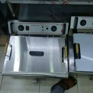 Electric Fish Frying Oven