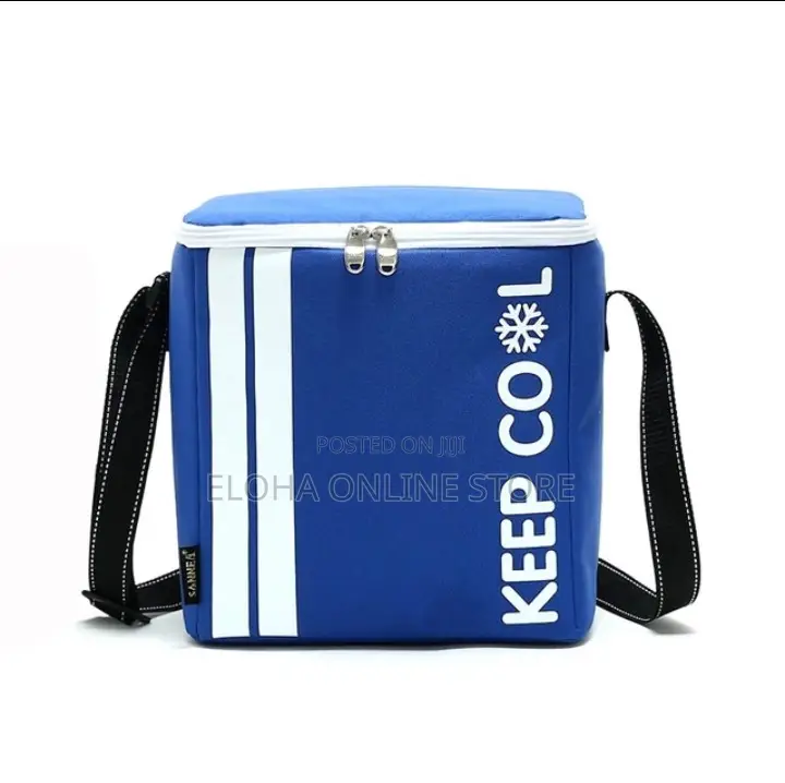 Portable Insulated Lunch Box
