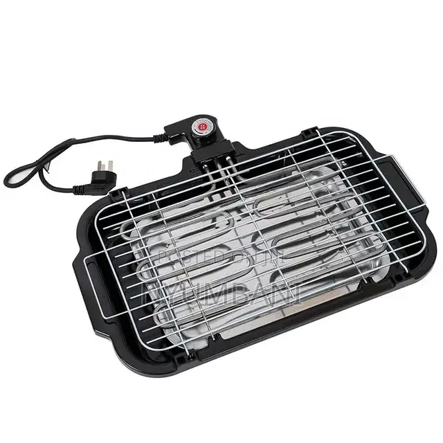Electric Barbecue Grill