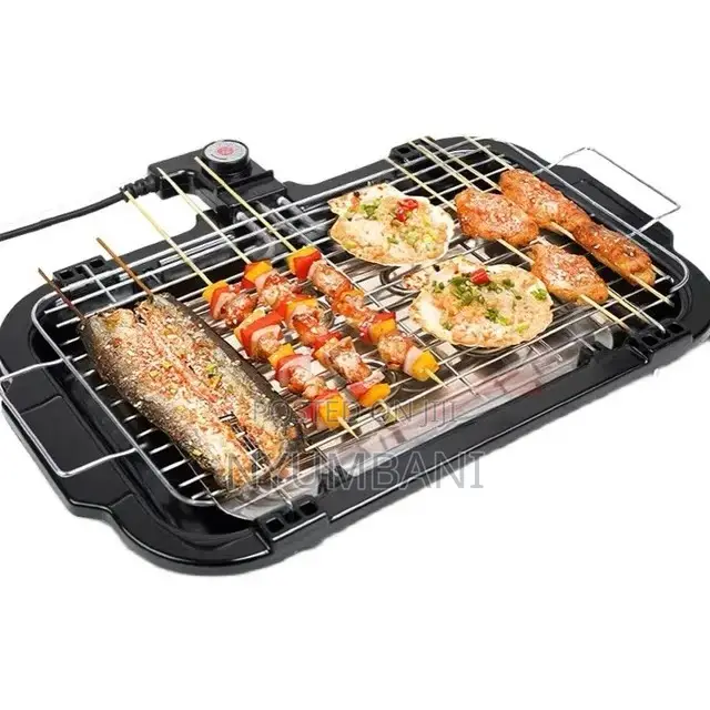 Electric Barbecue Grill