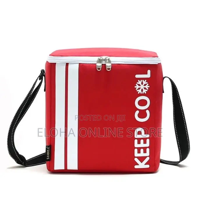 Picnic Insulated Lunch Bag