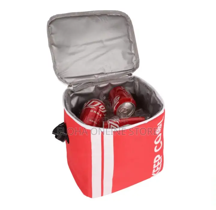 Picnic Insulated Lunch Bag
