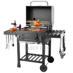 Stainless Steel Outdoor Charcoal Barbecue Grill