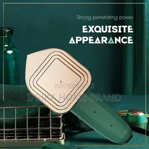 Professional Micro Steam Iron Portable Travelmini Steam Iron