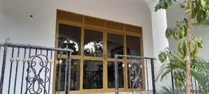 Door and Window Painting