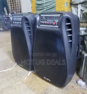 Photo - AILIPU Dual 15′′ Amplified Public Address Speaker – Black