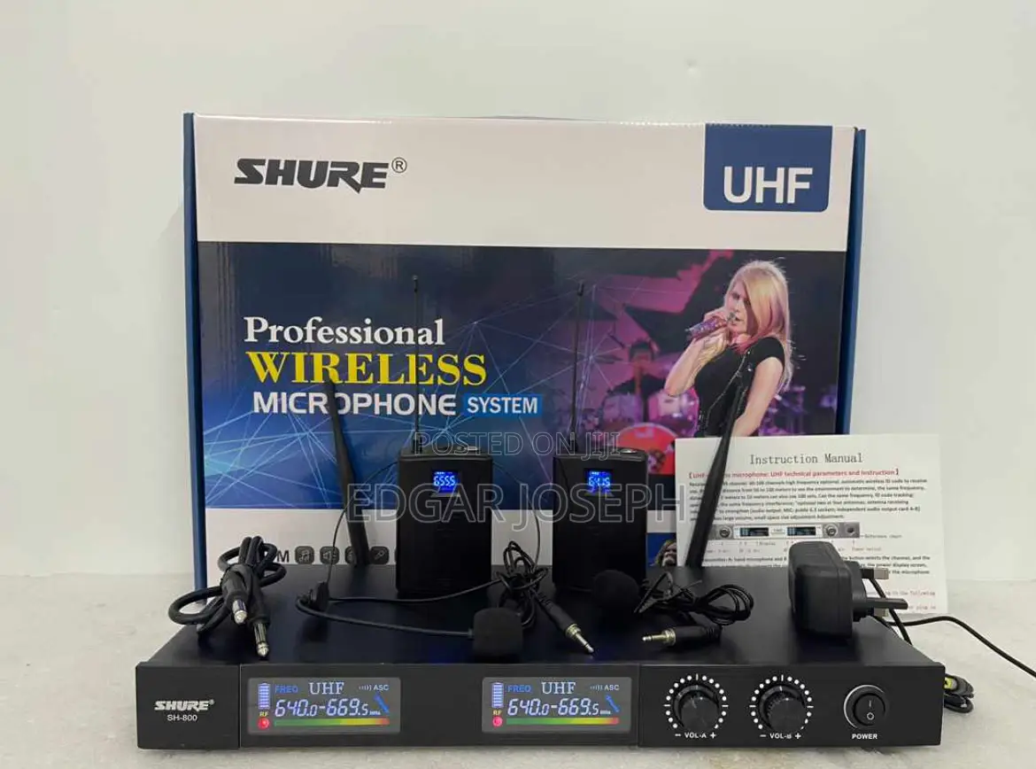 Professional Wireless Mic
