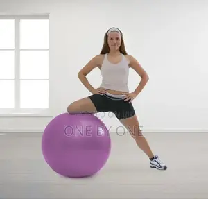 Multifunctional Gym Balls Training Equipment