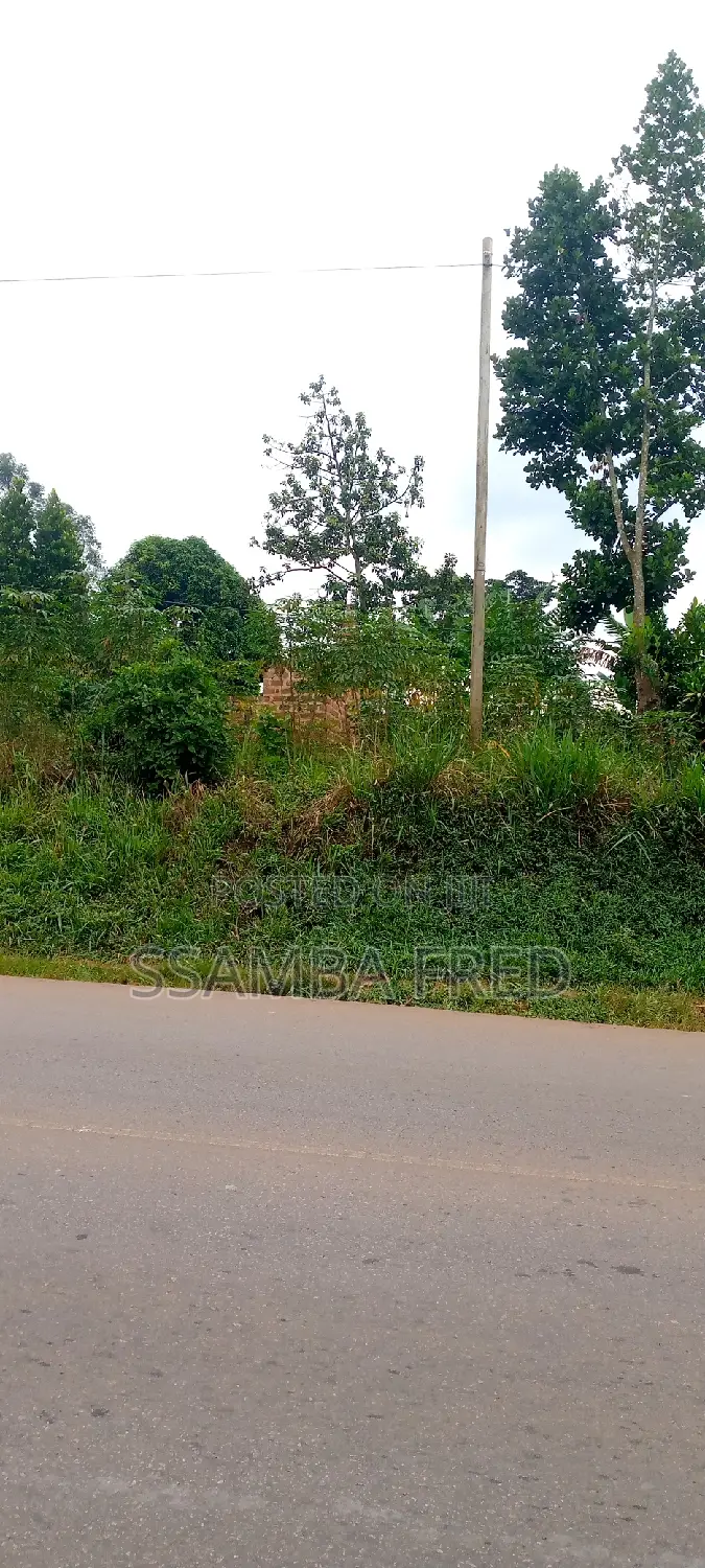 Plot of Land for Sale Good for Supper Market