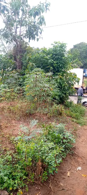 Plot of Land for Sale Good for Supper Market