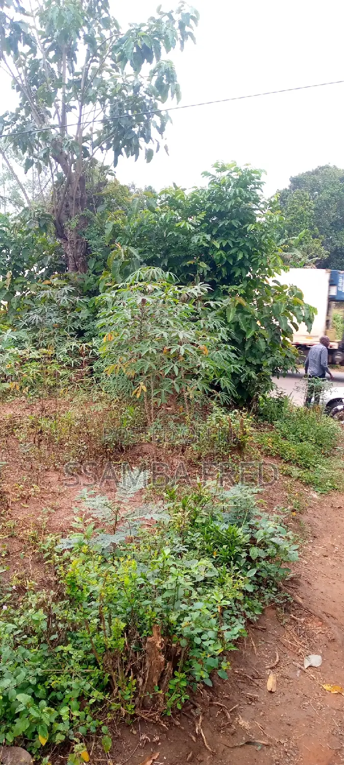 Plot of Land for Sale Good for Supper Market