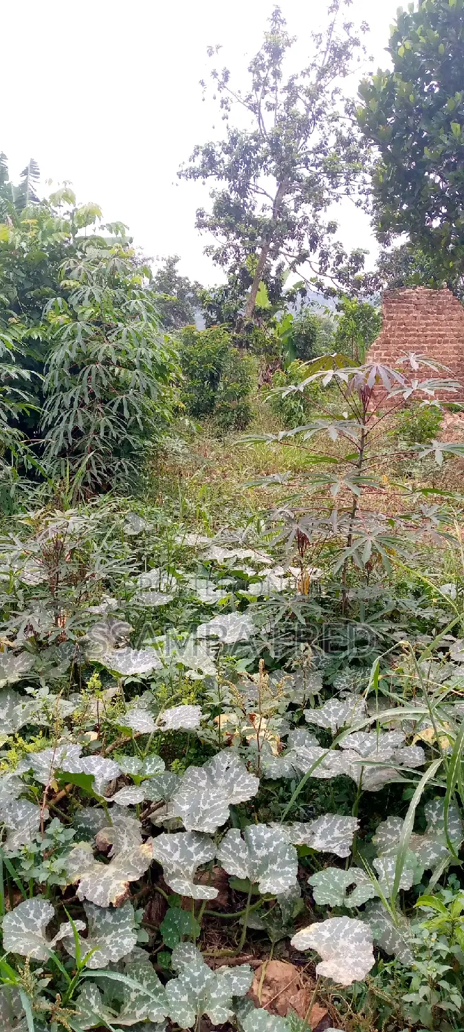 Plot of Land for Sale Good for Supper Market
