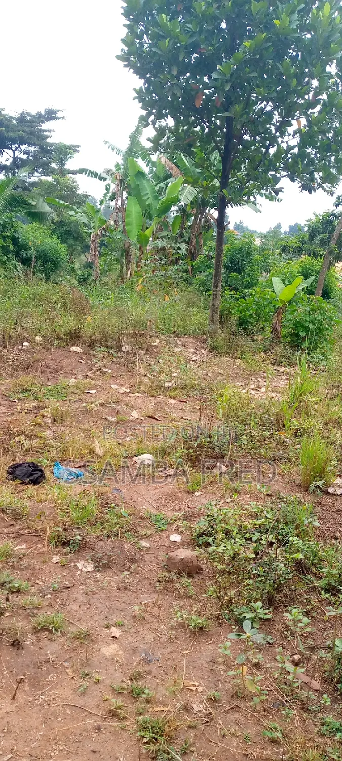Plot of Land for Sale Good for Supper Market