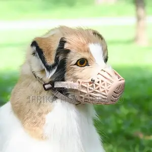 Solid Plastic Pet Dog Muzzle Adjustable Cat Dog Mouth Muzzle