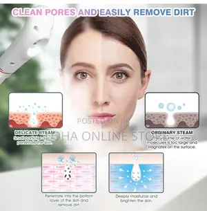 Portable Facial Sauna Vapour Steamer With Ozone Lamp