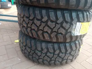 265/65r17 Austone Mudterrian.