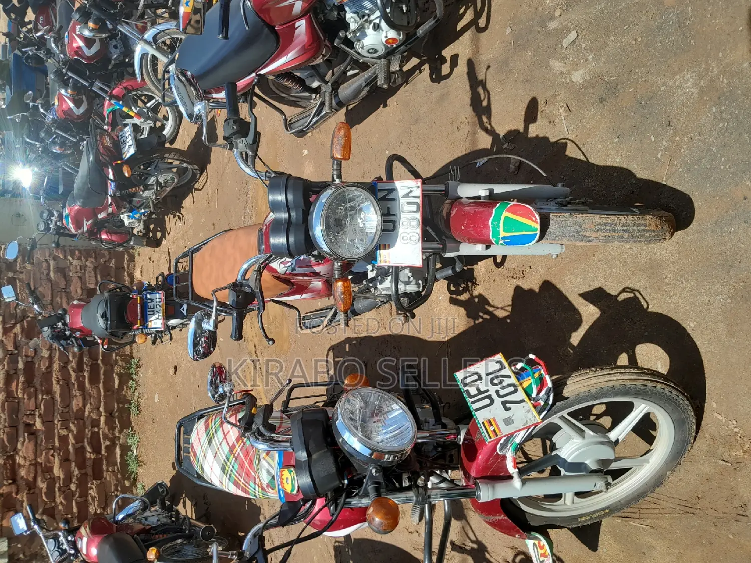 Bajaj CT 110X 2024 Red