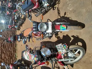 Bajaj CT 110X 2024 Red