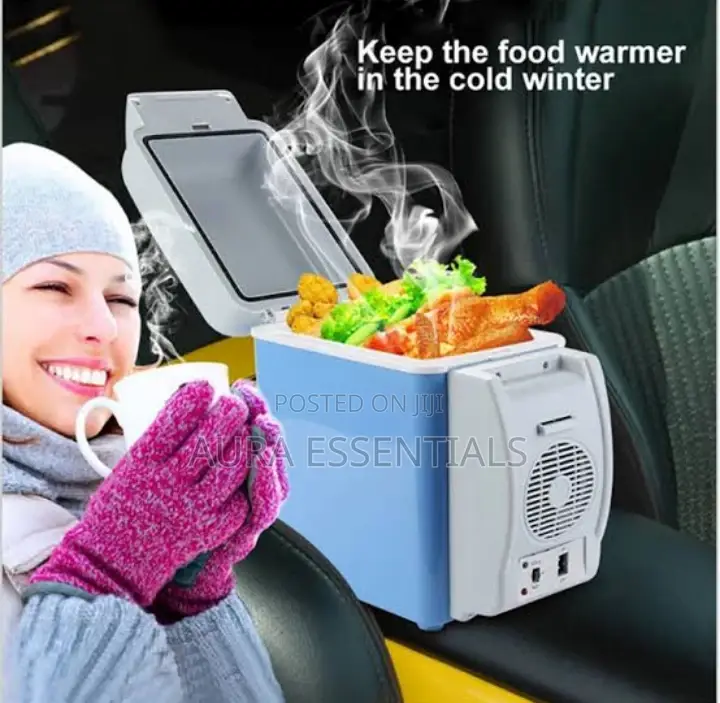 Portable Electronic Cooling Warming 2 in 1 Car Refrigerator