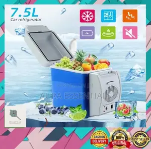 Portable Electronic Cooling Warming 2 in 1 Car Refrigerator