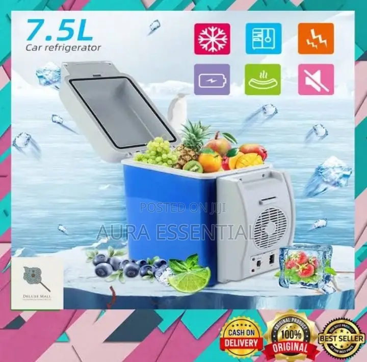 Portable Electronic Cooling Warming 2 in 1 Car Refrigerator