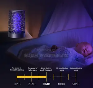 Electric Mosquito Killing Lamp