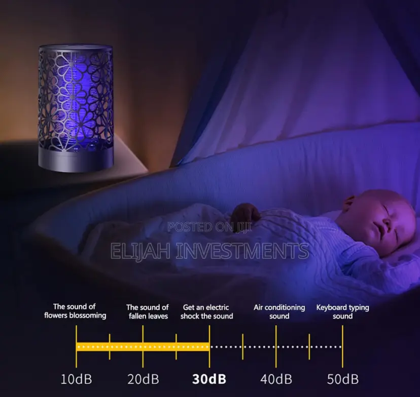 Electric Mosquito Killing Lamp