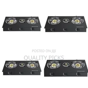 Double Saachi Plate Stove Cooker