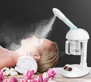 Facial Sauna Vapour Steamer Face Mist Sprayer Beauty Salon