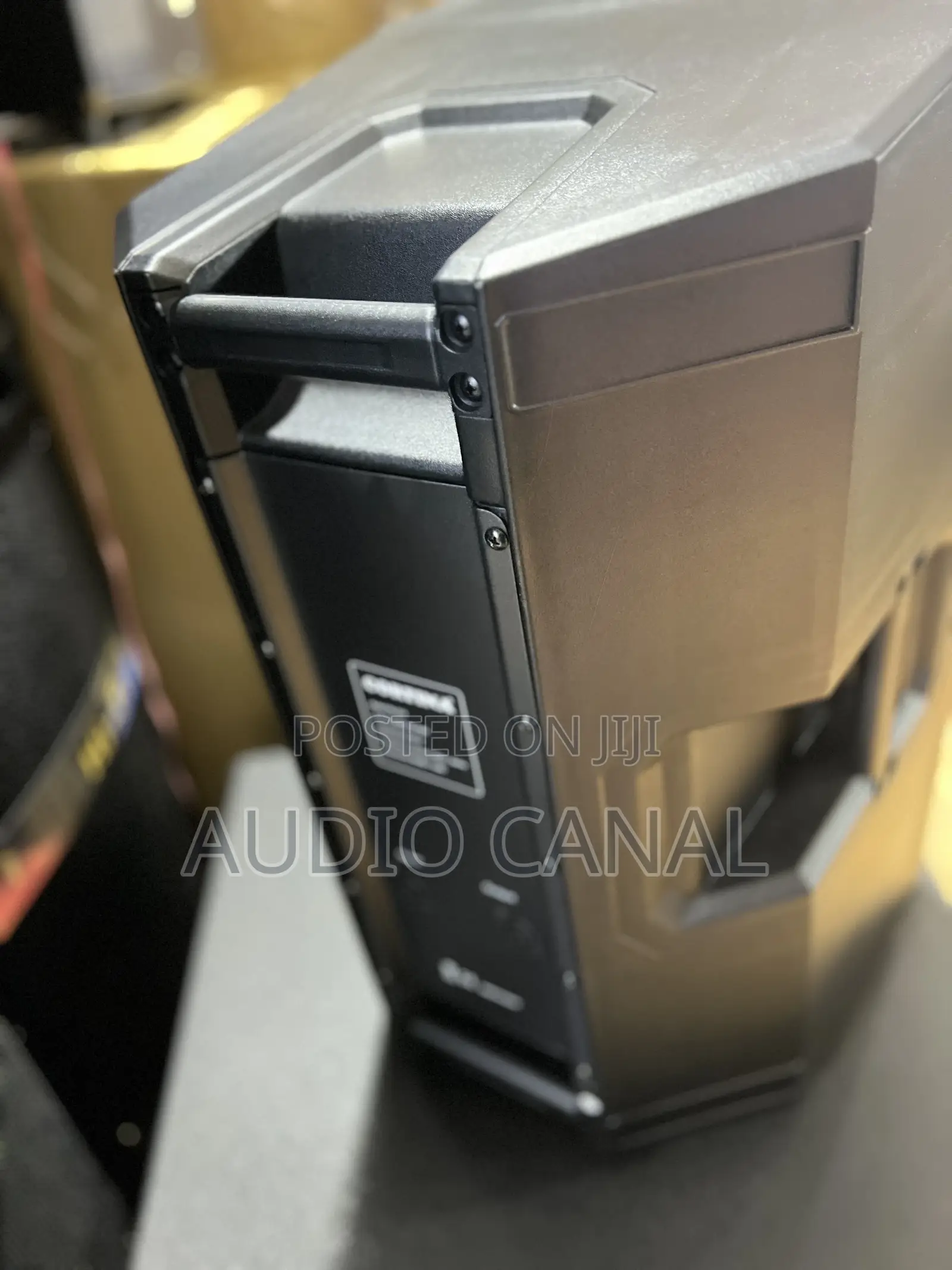 12” Cotina Top Speaker
