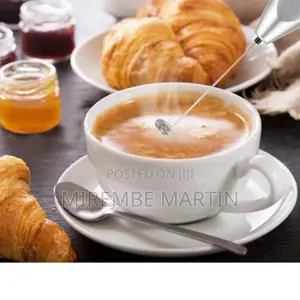 2 in 1 Electric Coffee Blender and Egg Beater.