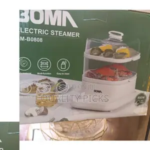 Electric Food Steamer