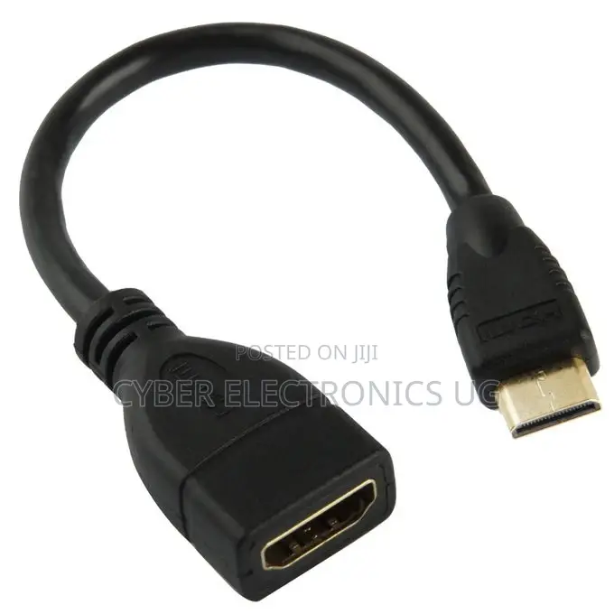 Mini HDMI Male to HDMI 19 Pin Female Cable