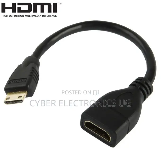 Mini HDMI Male to HDMI 19 Pin Female Cable
