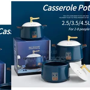 Brand Casserole Pot