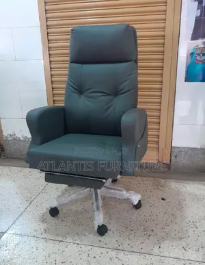 Resting Executive Office Chair.
