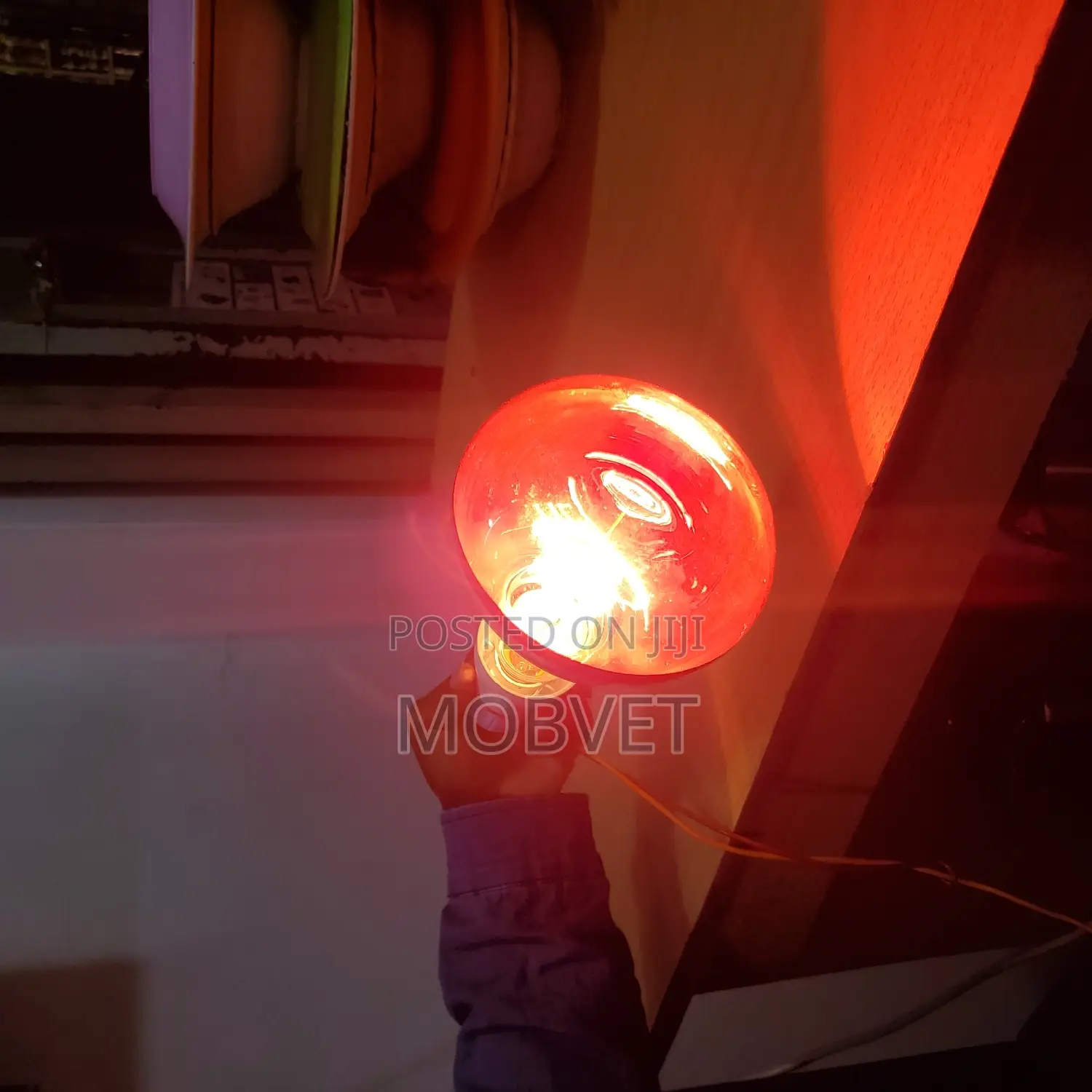 Brooder Heater Bulbs 