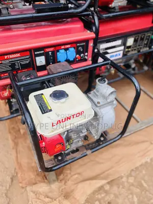 Imported Water Original Pumps Ug